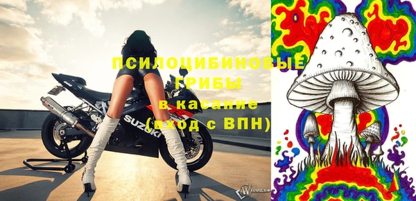 СК Абаза