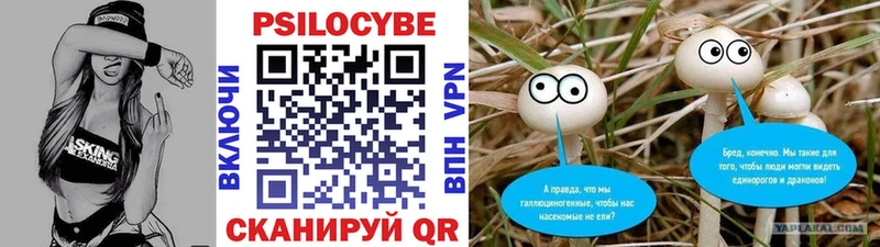 Псилоцибиновые грибы Cubensis  Белореченск 